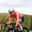 CYCLE – 1 kaufen, 1 GRATIS dazu