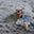 TRIATHLON MENS