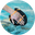 SCHWIMMEN TRAINIEREN